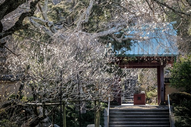 When Emperors Reigned and Shoguns Ruled - Komachidori shopping street: souvenirs, snacks, and the human side
