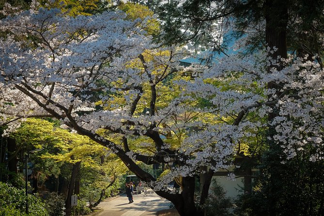 When Emperors Reigned and Shoguns Ruled - Kotoku-in’s Great Buddha: plan for the paid entry
