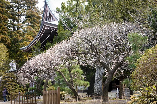 When Emperors Reigned and Shoguns Ruled - Hasedera Temple: terraces, ponds, caves, and 11-headed Kannon