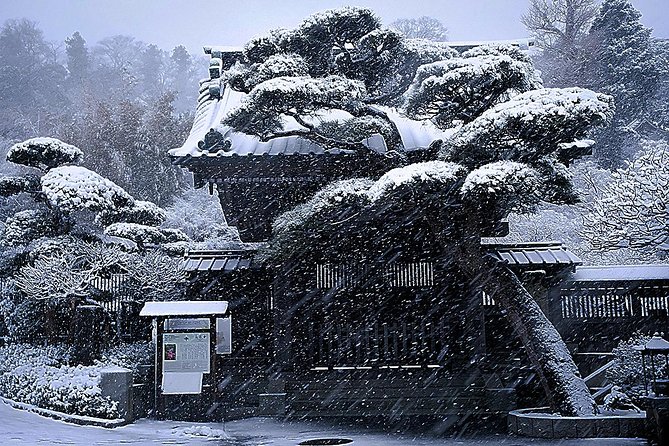 When Emperors Reigned and Shoguns Ruled - Photography help that is actually built into the plan