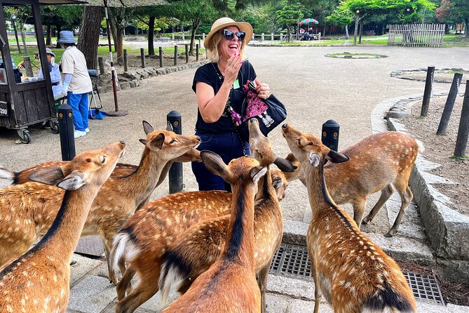 World Heritage Kyoto & Nara Uji Authentic Matcha Experience - Why this Nara and Uji day trip works when time is tight