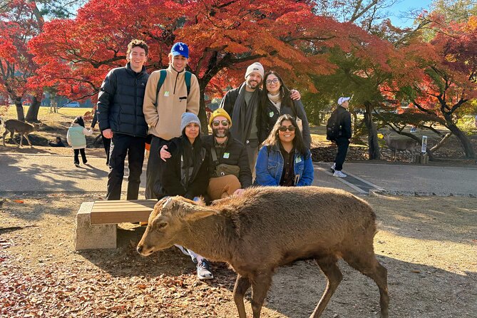 World Heritage Kyoto & Nara Uji Authentic Matcha Experience - Meeting point and the 7:50 am start that shapes your whole day