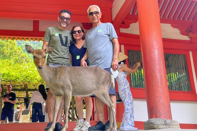 World Heritage Kyoto & Nara Uji Authentic Matcha Experience - Todai-ji Temple and the Great Buddha, plus the World Heritage palace area