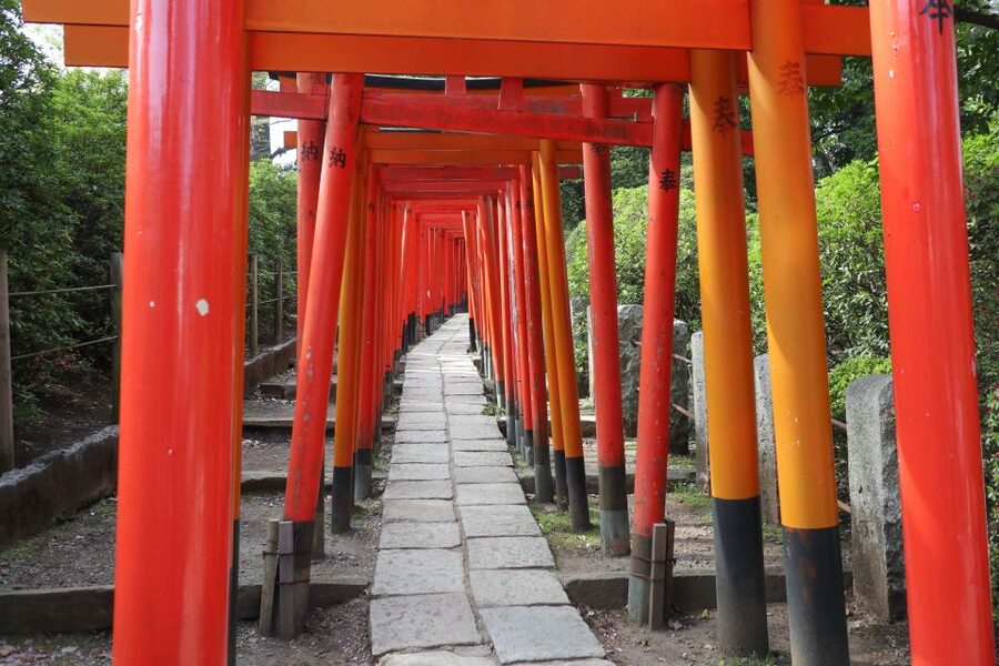 Yanaka District: Historical Walking Tour in Tokyo's Old Town - Quick hits before you go