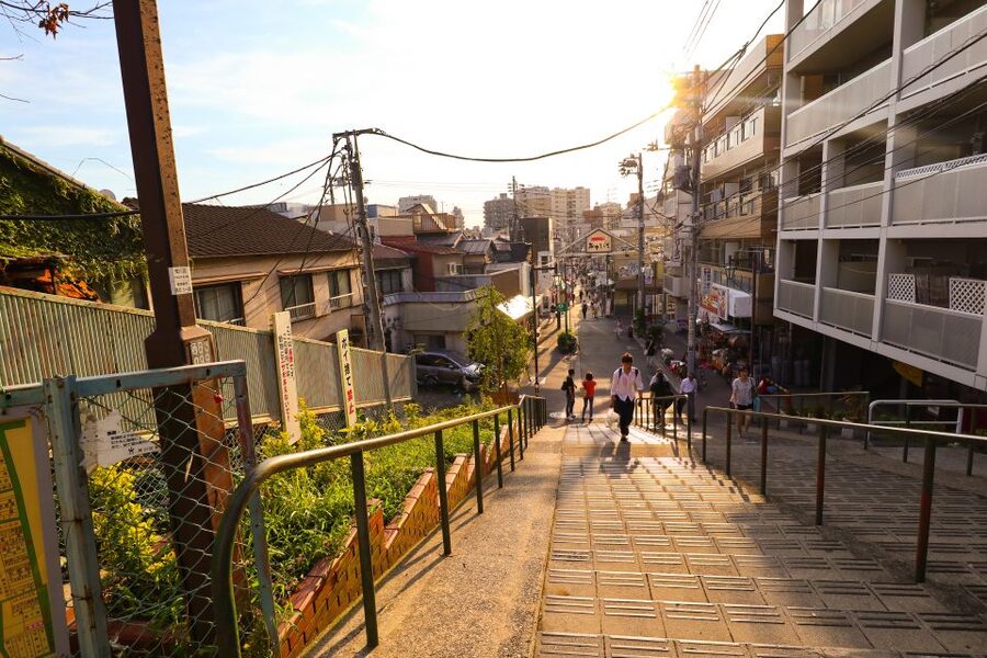 Yanaka District: Historical Walking Tour in Tokyo's Old Town - Hebimichi and the 1940s locals-only market vibe