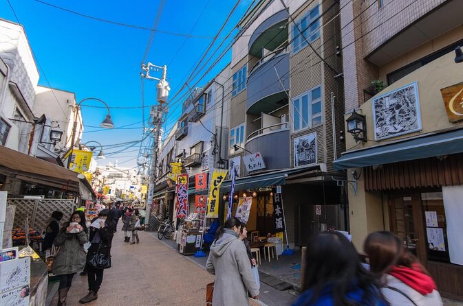 Yanaka Historical Walking Tour in Tokyo's Old Town - Key things I’d highlight before you go