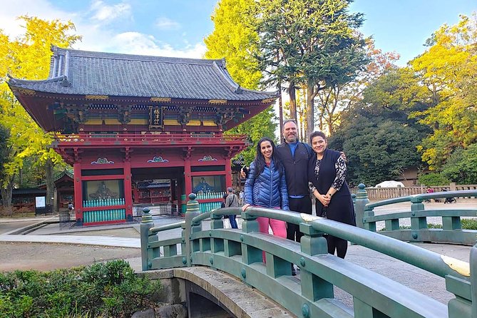 Yanaka Walking Tour: Historic and Traditional District of Tokyo - Optional Tea Ceremony on Tatami at Gallery Okubo