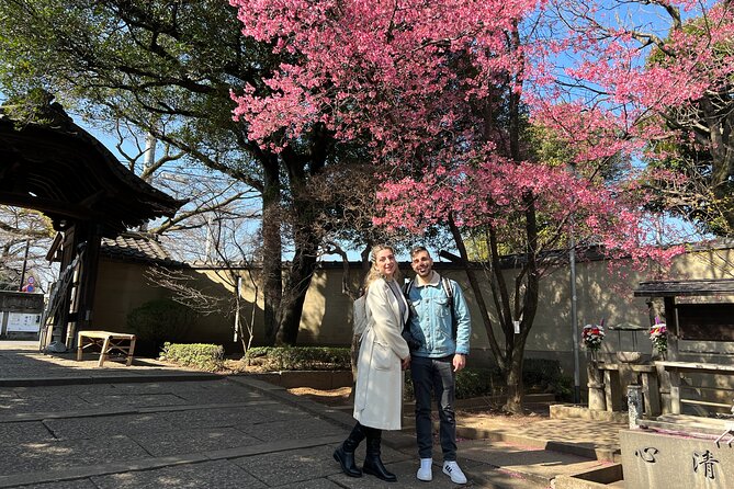 Yanaka Walking Tour: Historic and Traditional District of Tokyo - Afternoon-Only Art Stops: The Bathhouse and Alan West Studio